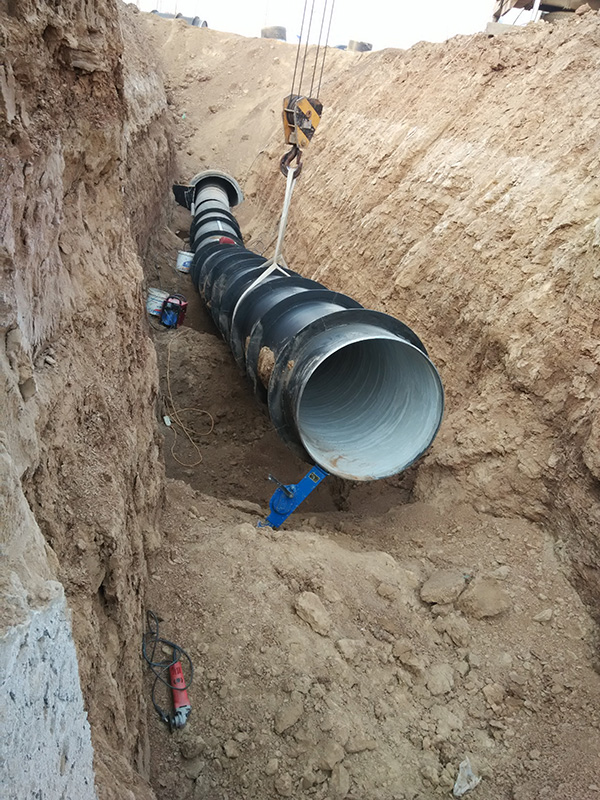 正能量网站在线观看