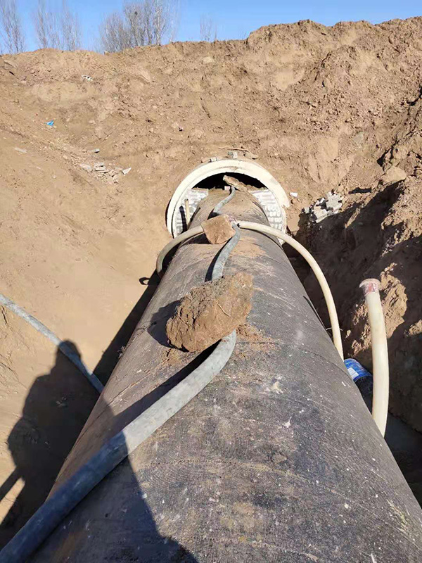 正能量网站在线观看