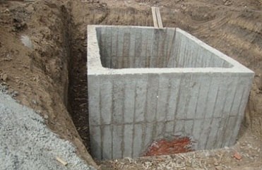 正能量网站在线观看