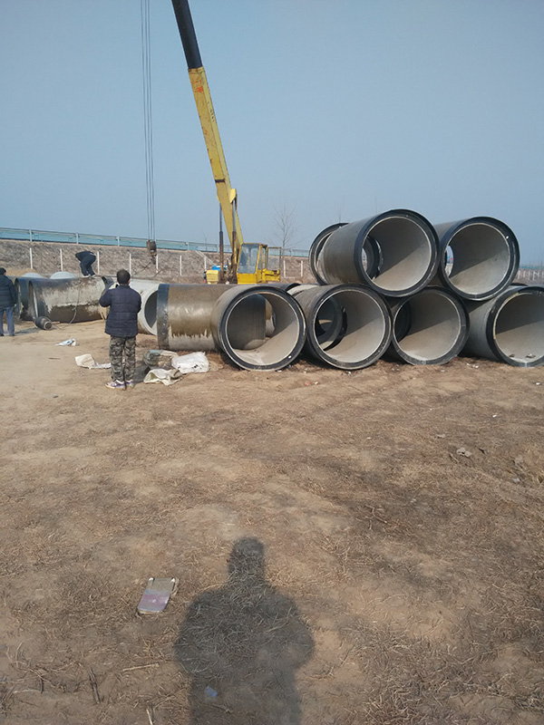 正能量奖励网站入口