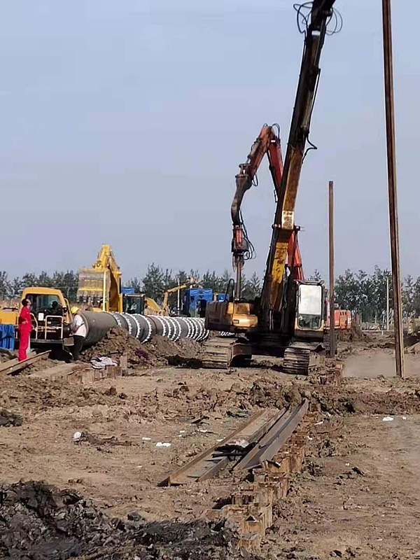 正能量网站在线观看