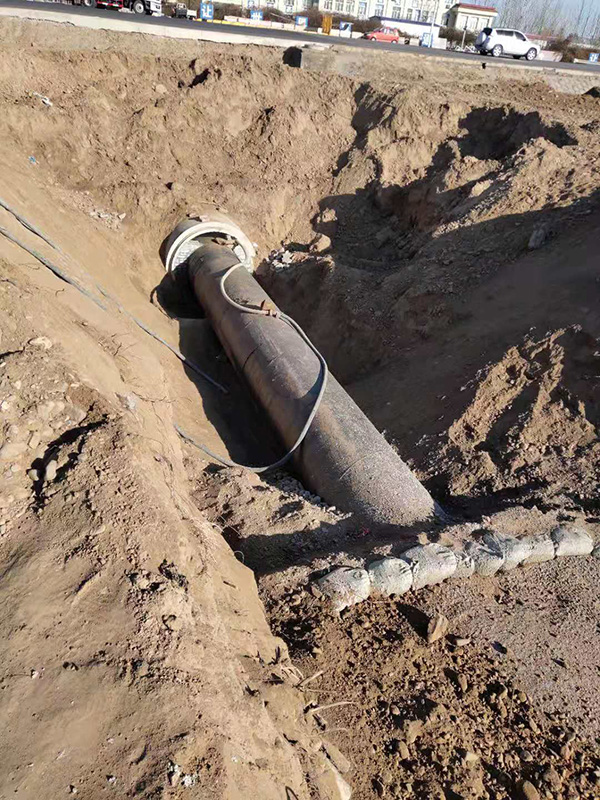 正能量网站在线观看