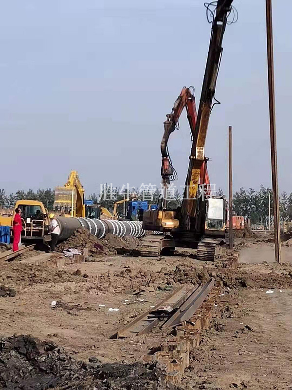 正能量网站在线观看