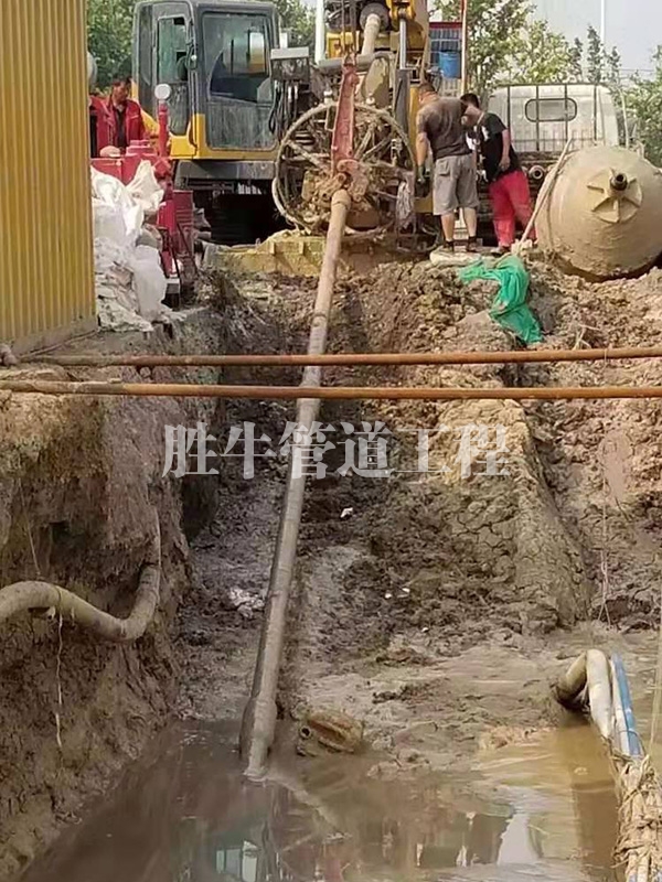 正能量网站免费观看