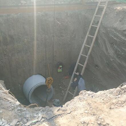 正能量奖励网站入口