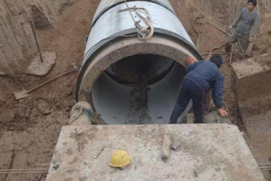 正能量网站在线观看